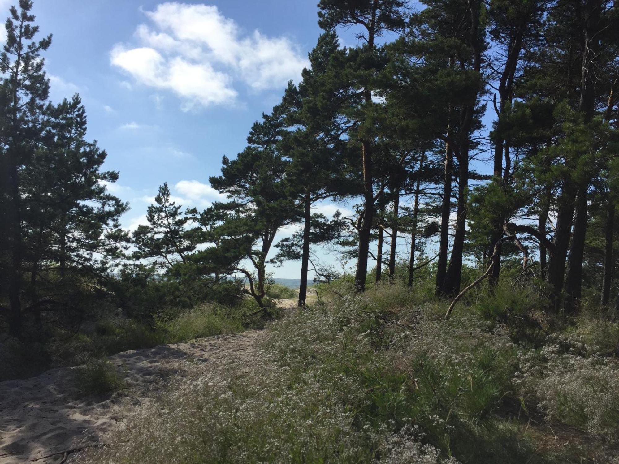 Semesterbostad Sunny *