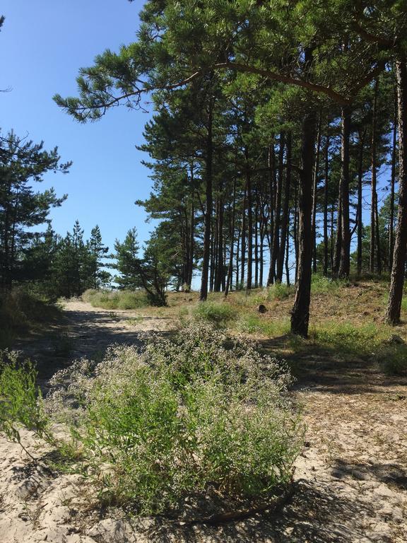 Semesterbostad Sunny Palanga