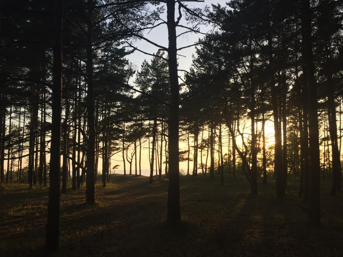 Sunny Semesterbostad